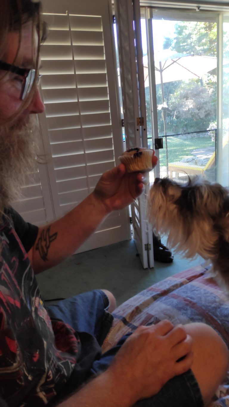 Better Breakfast Muffins