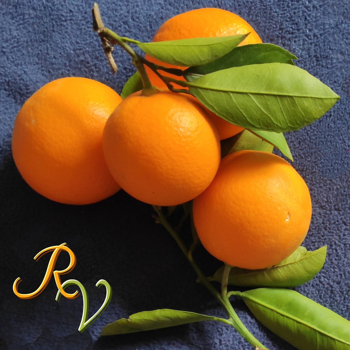 Cinnabon Apple Pie - The Redneck Vegetarian