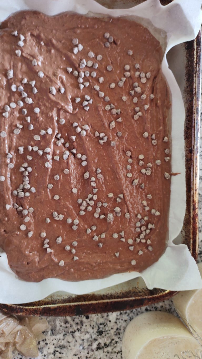 Vegan Chocolate Snack Cake